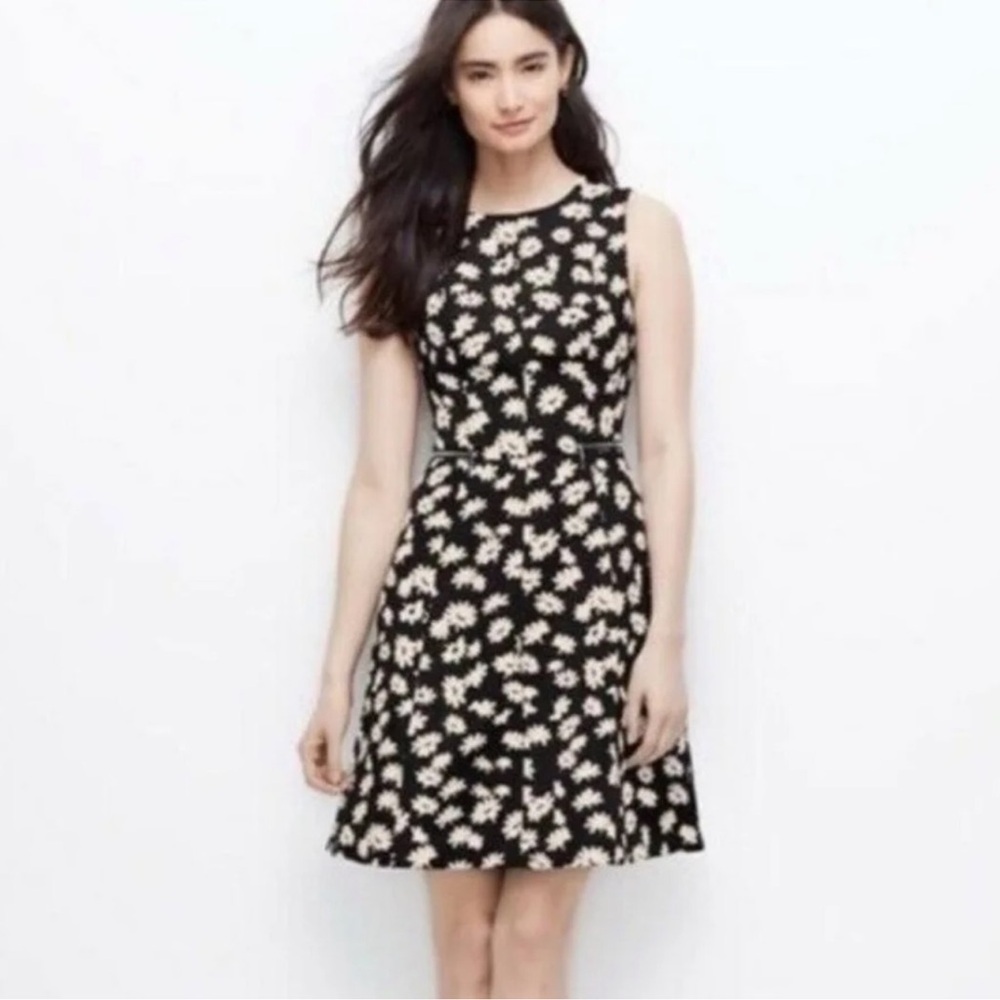 Ann Taylor Black, White Floral Daisy Fit & Flare Dress zipper, quilted detail 6P